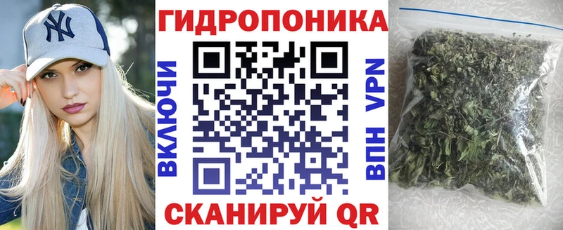 hydra ТОР  Магас  Конопля Ganja 